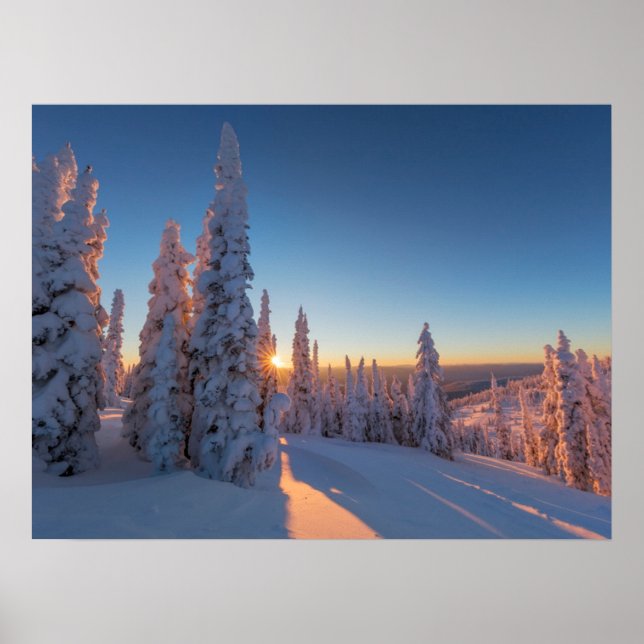 Weißer Fisch, Montana Poster (Vorne)