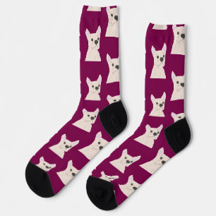 Weißer Französischer Bulldogge, Streifen Socken