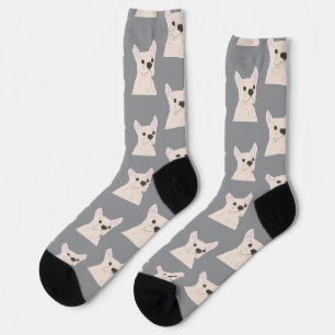 Weißer Französischer Bulldogge, Streifen Socken