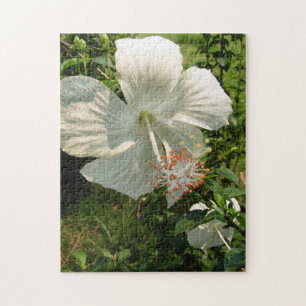 Weißer Frühling, Blume, Blumen, Sommer, Natur, Puzzle