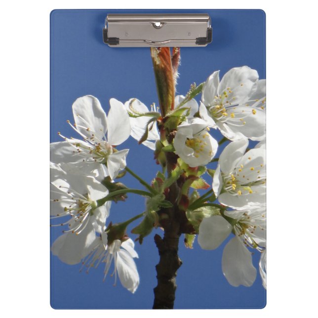 Weißer Frühling Klemmbrett (Vorderseite)