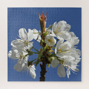 Weißer Frühlingsblut Puzzle