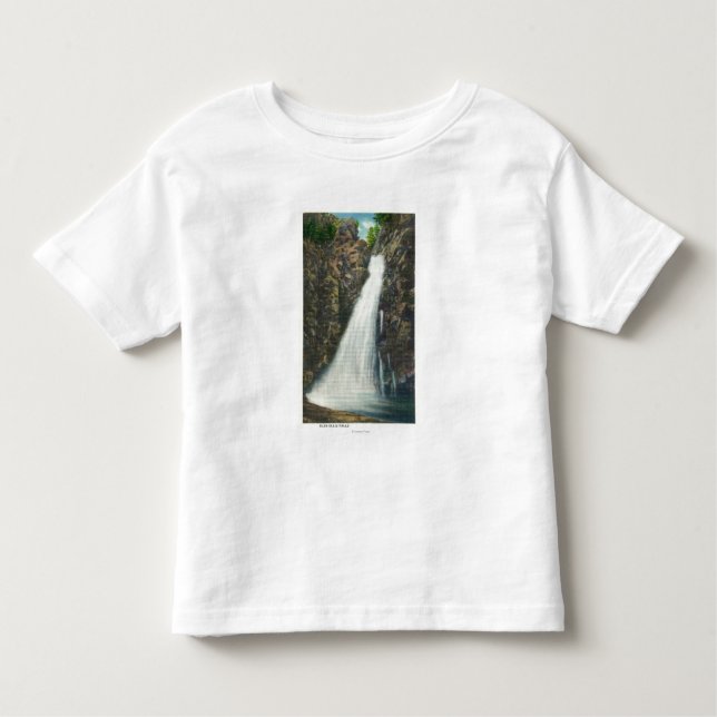 Weißer Gebirgsstaatlicher Wald Kleinkind T-shirt (Vorderseite)