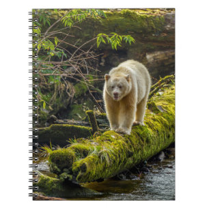 Weißer Geistbär   British Columbia, Kanada Notizblock