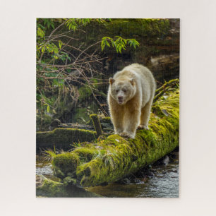 Weißer Geistbär   British Columbia, Kanada Puzzle