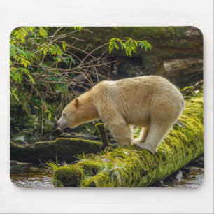 Weißer Geistbär Mousepad