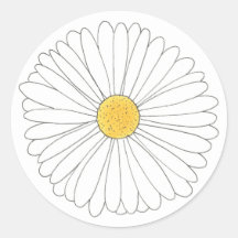 Weißer Gelber Daisy Blossom Blumengarten Frühjahr