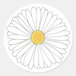 Weißer Gelber Daisy Blossom Blumengarten Frühjahr Runder Aufkleber
