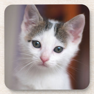 Weißer gepunkteter Kitty Untersetzer