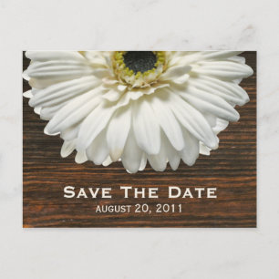 Weißer Gerbera u. Barnwood Save the Date Postkarte