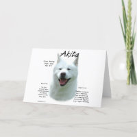 (Weißer) Geschichtsentwurf Akitas