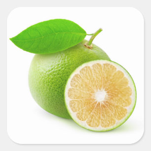 Weißer Grapefruit Quadratischer Aufkleber