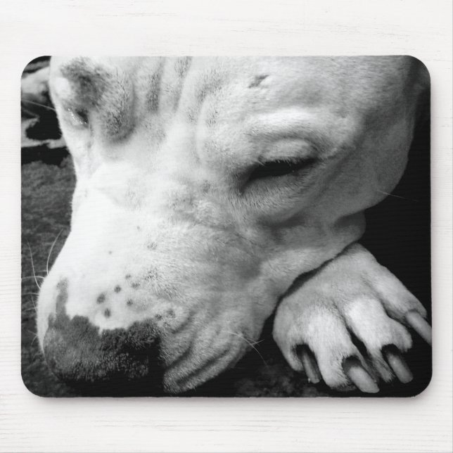 Weißer Grubenbull Mousepad (Vorne)