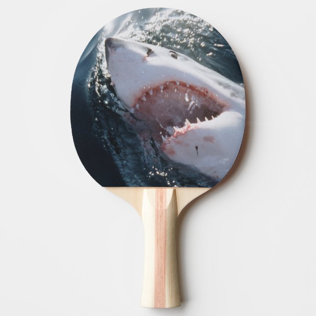 Weißer Hai auf Meer Tischtennis Schläger (Vorderseite)