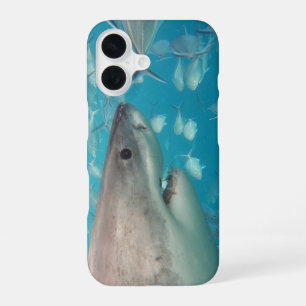 Weißer Hai iPhone 16 Hülle