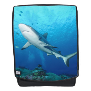 Weißer Hai Rucksack