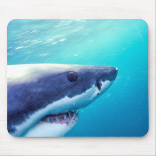 Weißer Hai Südafrika Mousepad