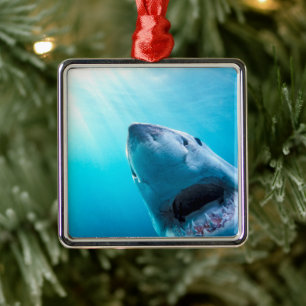 Weißer Hai Südafrika Ornament Aus Metall