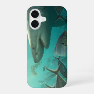 Weißer Hai Unterwasser Australien Tier iPhone 16 Hülle