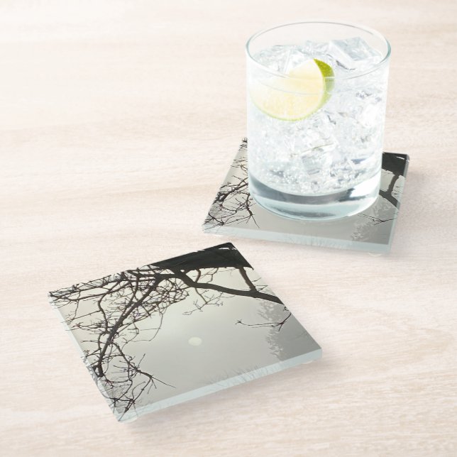 Weißer Himmel und Sonne sind von Bäumen dramatisch Glasuntersetzer (Schrägansicht)