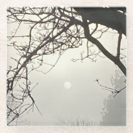 Weißer Himmel und Sonne sind von Bäumen dramatisch Glasuntersetzer