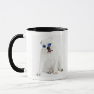 weißer Hintergrund, weiße Bulldogge, Blau abget Tasse