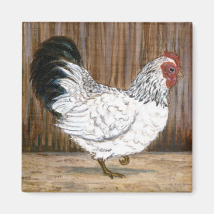 Weißer Huhn-Magnet Magnet