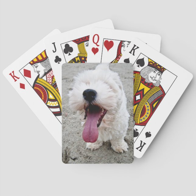Weißer Hund des glücklichen Welpen, malteese, Spielkarten (Rückseite)