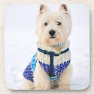 Weißer Hund in der Kleidung im Schnee Untersetzer