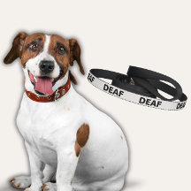 Weißer Hund Leash für den Toten Hund