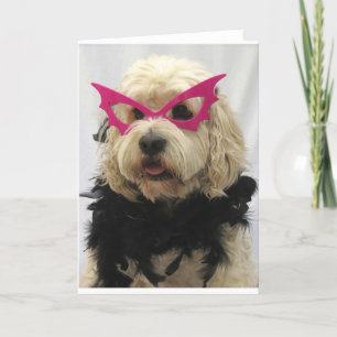 weißer Hund, lustige Kostüme, Spaß, Brille auf dem Karte