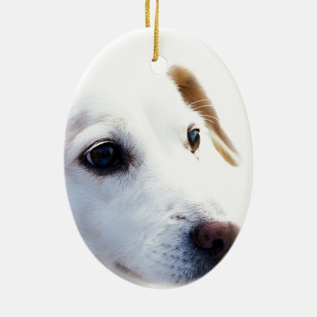 Weißer Hund mit faulen Augen, BESTE FREUNDIN von T Keramik Ornament (Hinten)