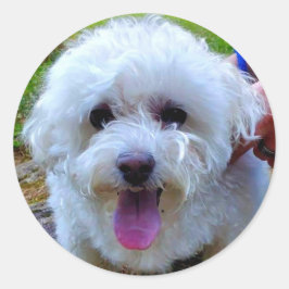 Weißer Hund Runder Aufkleber