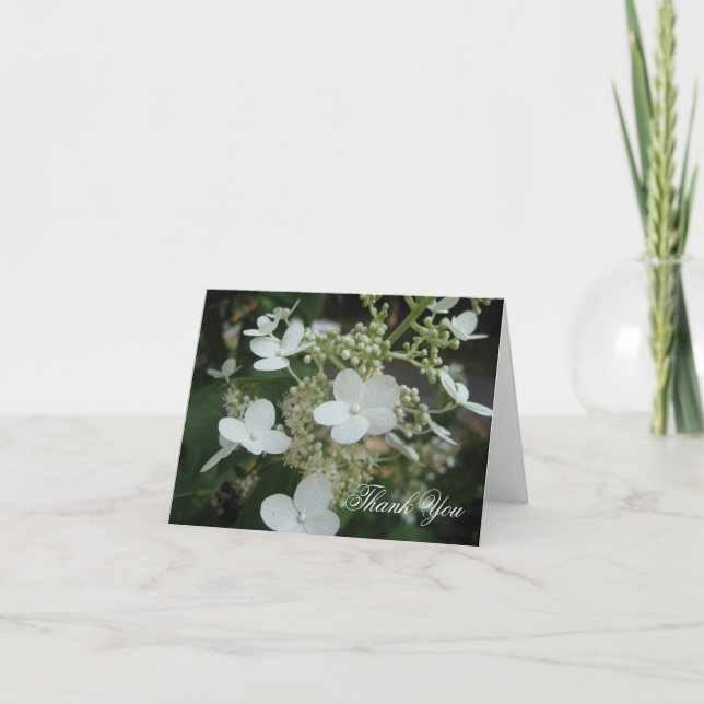 Weißer Hydrangea danken Ihnen Dankeskarte (Vorderseite)