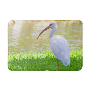 Weißer Ibis-Wasservogel auf einem Bein im Gras-Fot Badematte