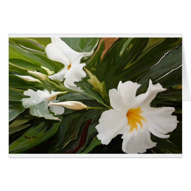 WEISSER JASMINE-BLANKARTE (Vorderseite (Horizontal))