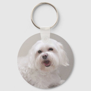 Weißer Kleiner Hund (Maltese) Rettung Schlüsselanhänger