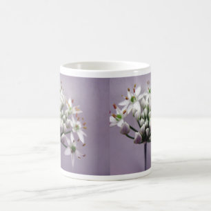 Weißer Knoblauchchive Blüten auf Lila Tasse