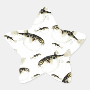 Weißer Kugelfisch Stern-Aufkleber