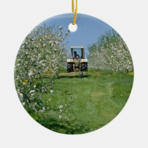 weißer kultivierender Apfelgarten, Neuschottland Keramikornament