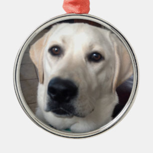 Weißer Labrador Ornament Aus Metall