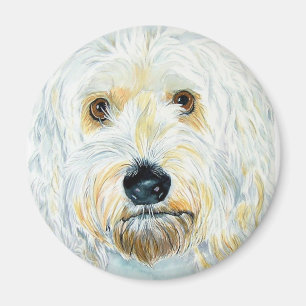 Weißer Labrdoodle Maggie Magnet