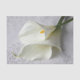 Weißer Lilienlilie Seidenpapier