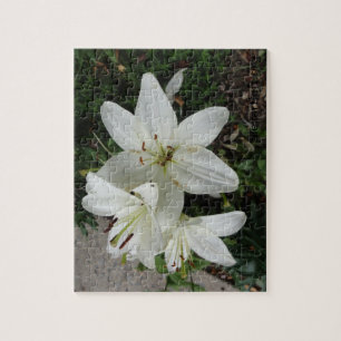 Weißer Lilly Puzzle