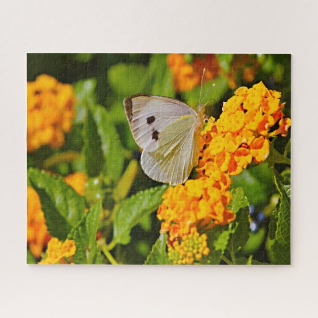 Weißer Ling Butterfly. Puzzle (Horizontal)