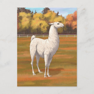 Weißer Llama im Herbst Postkarte