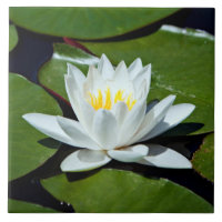 Weißer Lotos Wasser-Lilie Keramik-Fliese Trivet