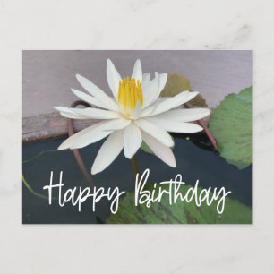 Weißer Lotus im Teich Happy Birthday Postkarte