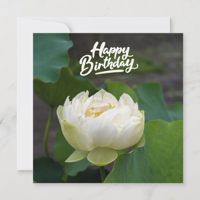 Weißer Lotus mit dem Wort Happy Birthday Postcard (Vorderseite)