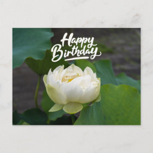 Weißer Lotus mit dem Wort Happy Birthday Postkarte